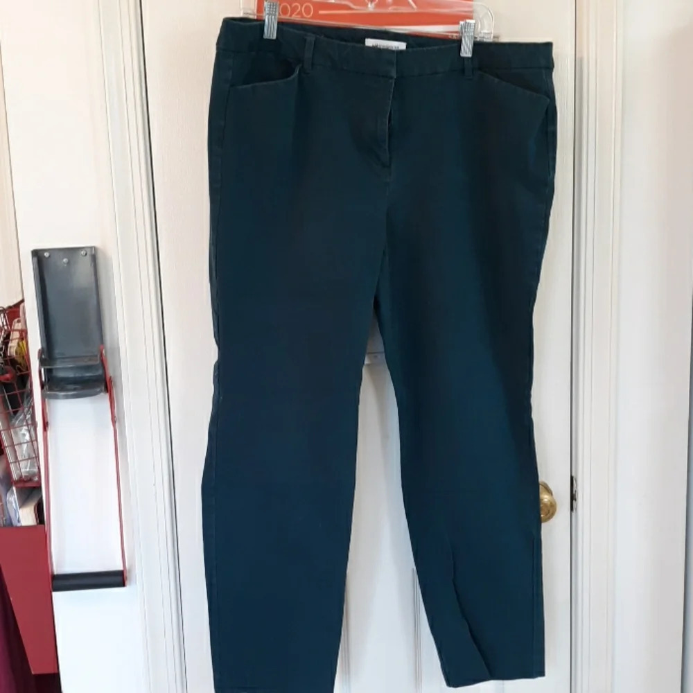 Liz Claiborne Emma Pretty Teal Pants In Size 18